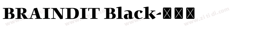 BRAINDIT Black字体转换